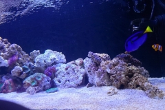 IMG-20200123-WA0001