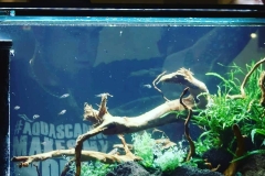 IMG_20190320_100628_805