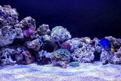 IMG_20200123_220310_411