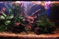 received_492888941444071