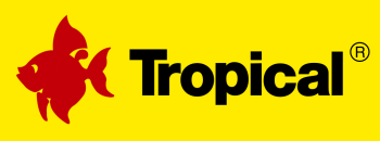 122281603_3348726108578924_7561750795724249881_n