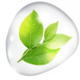 93233209_1119078471762484_3820003278100365312_n