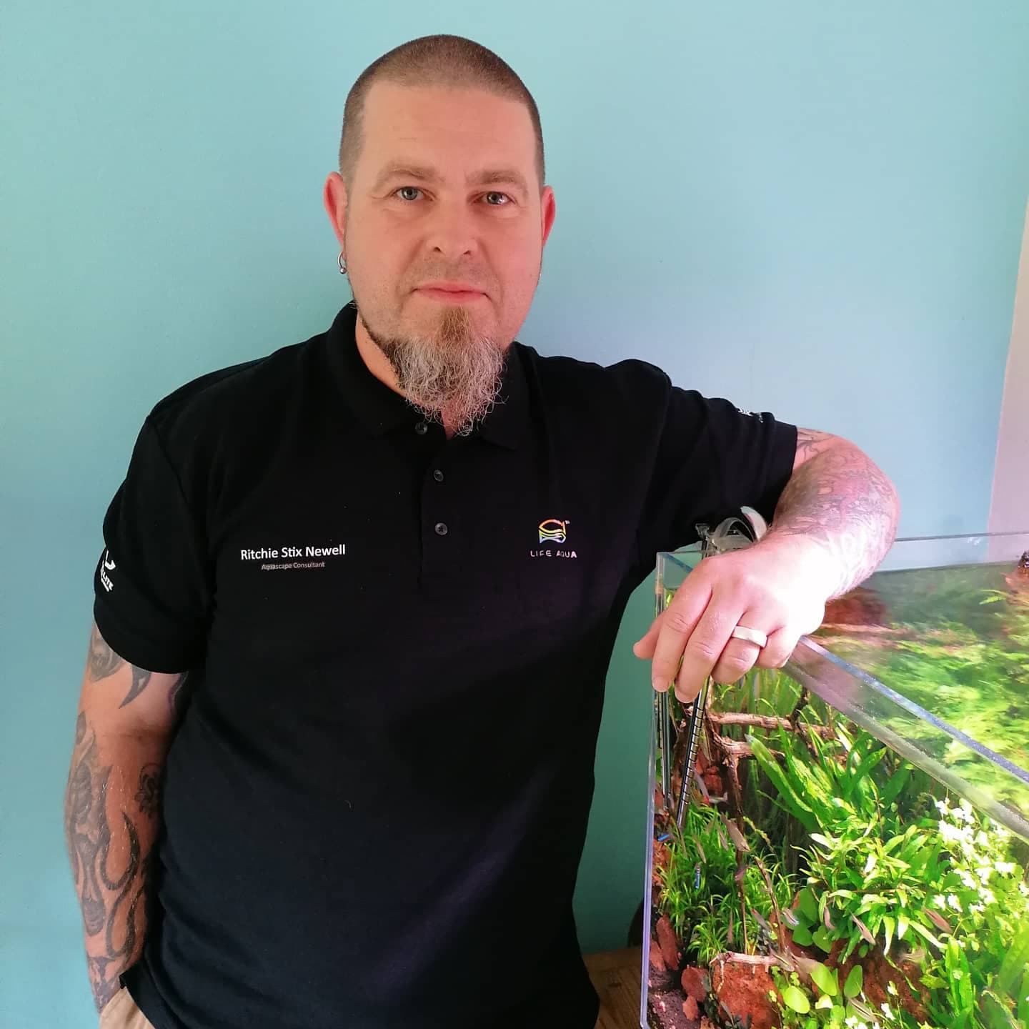 About Us Aquaman Complete Aquarium Services